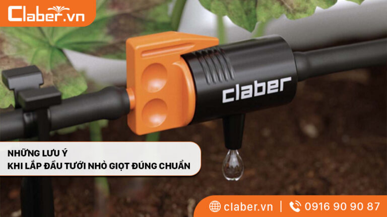 5 lưu ý để bố trí đầu tưới nhỏ giọt đúng chuẩn cảnh quan quanh nhà