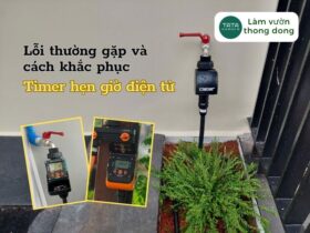 Một số lỗi thường gặp khi cài đặt bộ hẹn giờ tưới cây điện tử và cách khắc phục