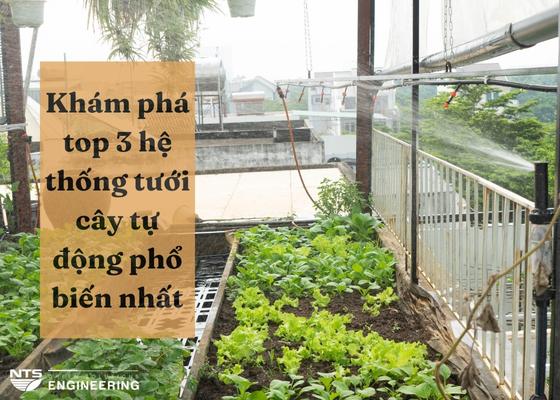 Khám phá top 3 hệ thống tưới cây tự động phổ biến nhất năm 2022
