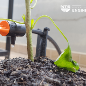 Chăm sóc khu vườn đơn giản với đầu tưới cây nhỏ giọt thông minh Claber