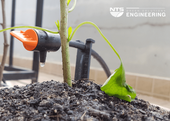 Chăm sóc khu vườn đơn giản với đầu tưới cây nhỏ giọt thông minh Claber