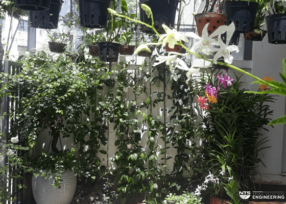 TẢN MẠN CHUYỆN LAN