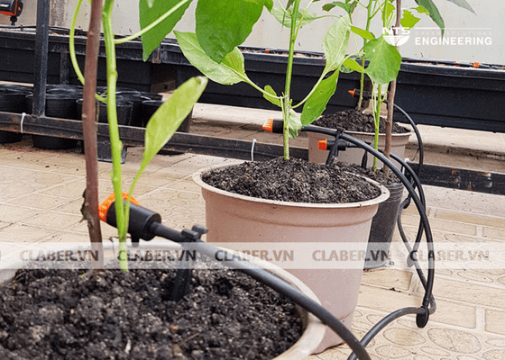 Báo giá nhanh các loại bec tưới nhỏ giọt thương hiệu Claber 2022