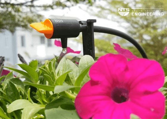 Nên chọn hệ thống tưới cây tự động nào cho vườn rau là hợp lý?