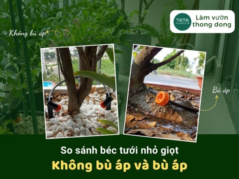 Sự khác nhau giữa đầu tưới nhỏ giọt bù áp và không bù áp