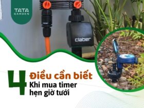 4 Điều cần biết khi chọn đồng hồ hẹn giờ tưới nước cho cây