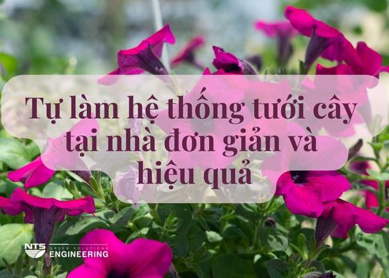 MÁCH BẠN 4 CÁCH TỰ LÀM HỆ THỐNG TƯỚI CÂY TẠI NHÀ ĐƠN GIẢN VÀ HIỆU QUẢ