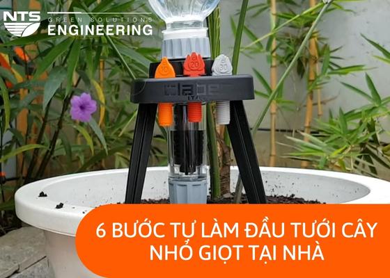 6 bước tự làm đầu tưới cây nhỏ giọt đơn giản tại nhà