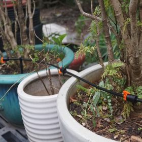 HỆ THỐNG TƯỚI NƯỚC NHỎ GIỌT – PHƯƠNG PHÁP TIẾT KIỆM 50%