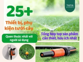 25+ Thiết Bị và Phụ Kiện Tưới Cây quen thuộc mà không phải ai cũng biết tên
