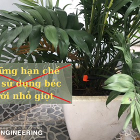 NHỮNG HẠN CHẾ KHI SỬ DỤNG BÉC TƯỚI NHỎ GIỌT VÀ CÁCH KHẮC PHỤC
