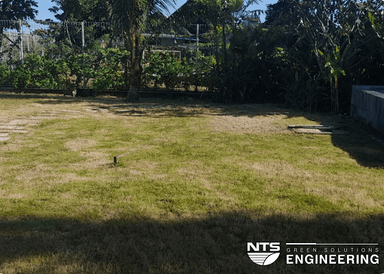 Thiết kế hệ thống tưới cây ăn quả – Đáp ứng mọi nhu cầu của bạn