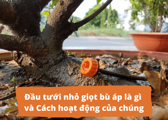Đầu tưới nhỏ giọt bù áp – có thể bạn chưa biết