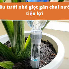 Đầu tưới nhỏ giọt gắn chai nước tiện lợi