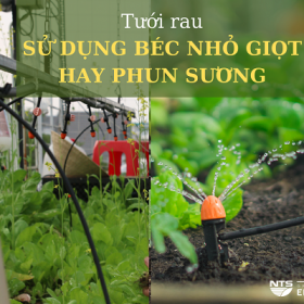 Trồng rau trên sân thượng – nên lắp đầu tưới nhỏ giọt hay phun sương
