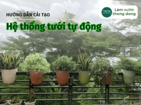 3 điều cần lưu ý khi cải tạo hệ thống tưới tự động