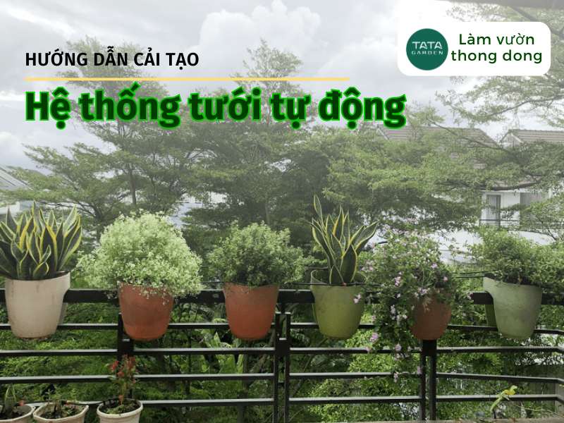 3 điều cần lưu ý khi cải tạo hệ thống tưới tự động