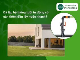Giải đáp thắc mắc: đã có hệ thống tưới tự động rồi có cần lắp thêm đầu lấy nước nhanh nữa không?