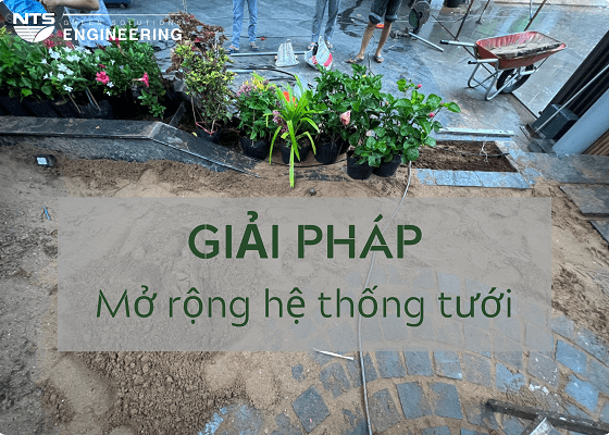 3 cách cơ bản mở rộng hệ thống tưới tự động đã có sẵn thường gặp