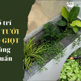 5 LƯU Ý ĐỂ BỐ TRÍ ĐẦU TƯỚI NHỎ GIỌT ĐÚNG CHUẨN CẢNH QUAN QUANH NHÀ