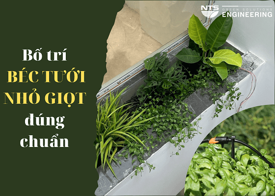 5 LƯU Ý ĐỂ BỐ TRÍ ĐẦU TƯỚI NHỎ GIỌT ĐÚNG CHUẨN CẢNH QUAN QUANH NHÀ