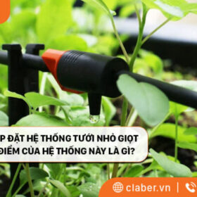 Khi nào nên lắp đặt hệ thống tưới nhỏ giọt và những ưu điểm của hệ thống này là gì?