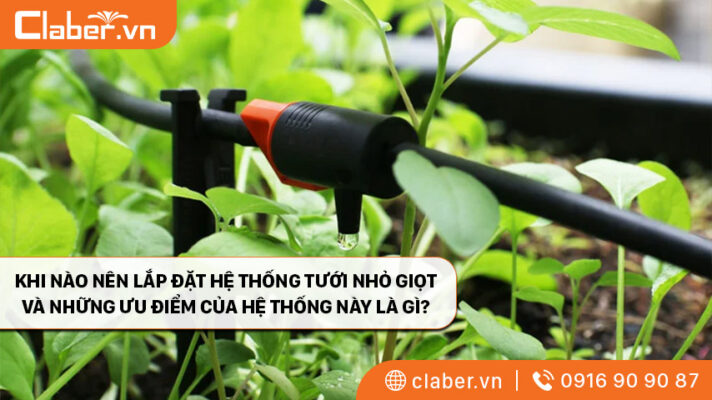 Khi nào nên lắp đặt hệ thống tưới nhỏ giọt và những ưu điểm của hệ thống này là gì?