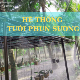 Hệ thống phun sương tưới cây là gì? vai trò của hệ thống trong chăm sóc cây trồng