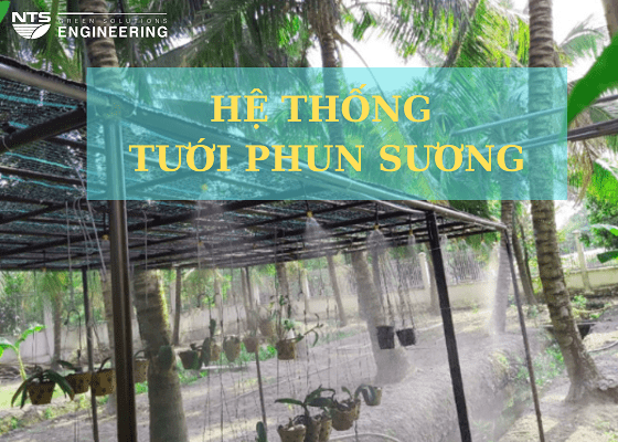 Hệ thống phun sương tưới cây là gì? vai trò của hệ thống trong chăm sóc cây trồng
