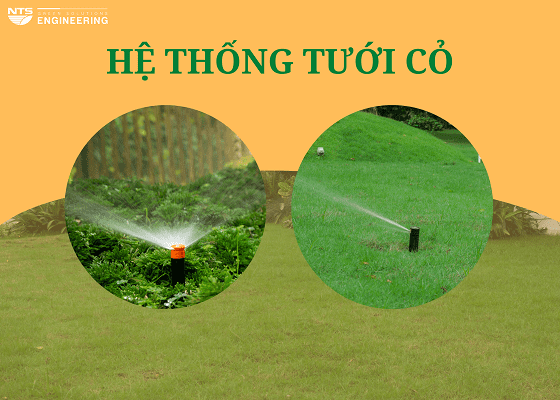 Phân biệt đầu tưới popup và rotor trong hệ thống tưới tự động sân vườn