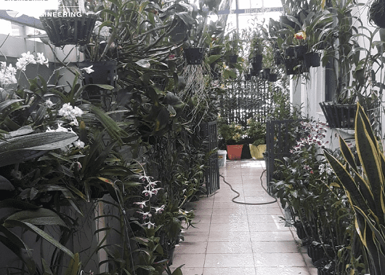 LẮP ĐẶT HỆ THỐNG TƯỚI PHUN SƯƠNG CHO LAN 2022