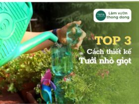 TOP 3 cách thiết kế hệ thống tưới nhỏ giọt đơn giản ngay tại nhà