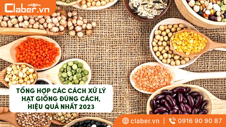 TỔNG HỢP CÁC CÁCH XỬ LÝ HẠT GIỐNG ĐÚNG CÁCH, HIỆU QUẢ NHẤT 2023