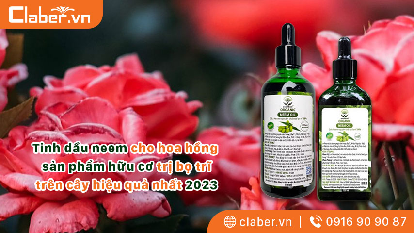 Tinh dầu neem cho hoa hồng – sản phẩm hữu cơ trị bọ trĩ trên cây hiệu quả nhất 2023