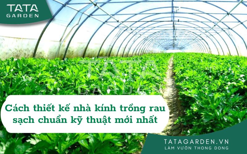 CÁCH THIẾT KẾ NHÀ KÍNH TRỒNG RAU SẠCH CHUẨN KỸ THUẬT MỚI 2024