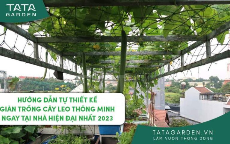 Hướng dẫn tự thiết kế giàn trồng cây leo thông minh ngay tại nhà hiện đại nhất 2024