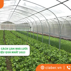 Tổng hợp các cách làm nhà lưới trồng rau hiệu quả nhất 2023