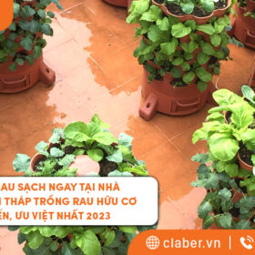 Bạn muốn ăn rau sạch tại nhà? – Tháp trồng rau hữu cơ tiên tiến nhất 2023