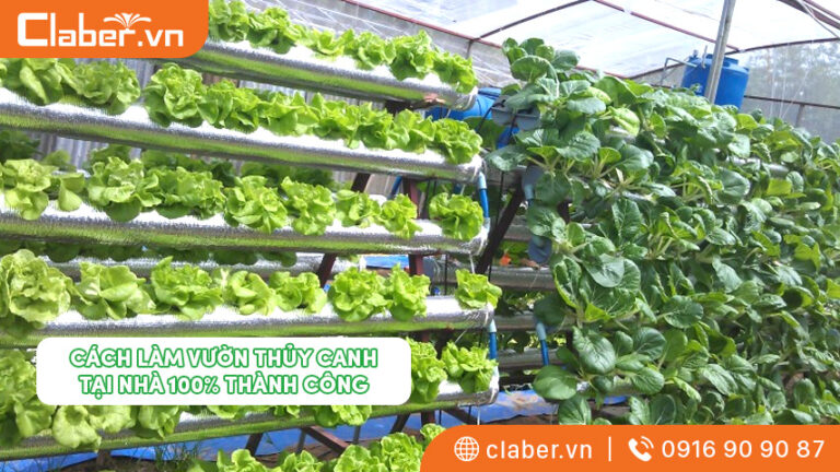 Cách làm vườn thủy canh tại nhà 100% thành công
