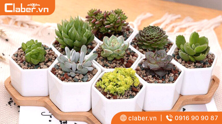 Tất tần tật những thông tin về cấu tạo và nguyên lý hoạt động của chậu thông minh tự tưới nước 