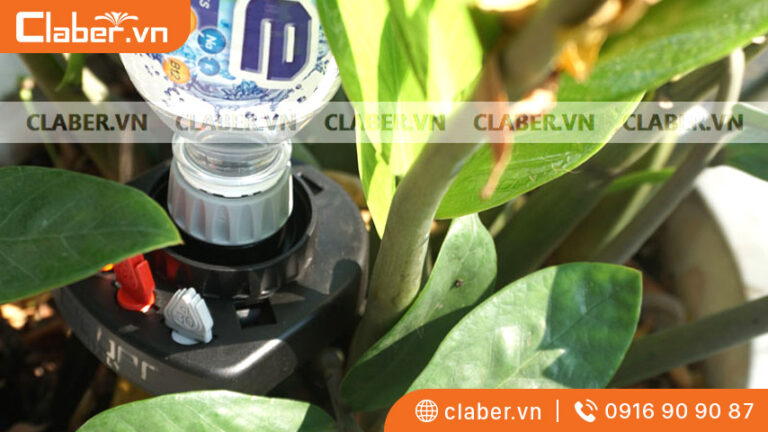 Cách làm hệ thống tưới nhỏ giọt tự chế cực đơn giản và tiết kiệm tại nhà