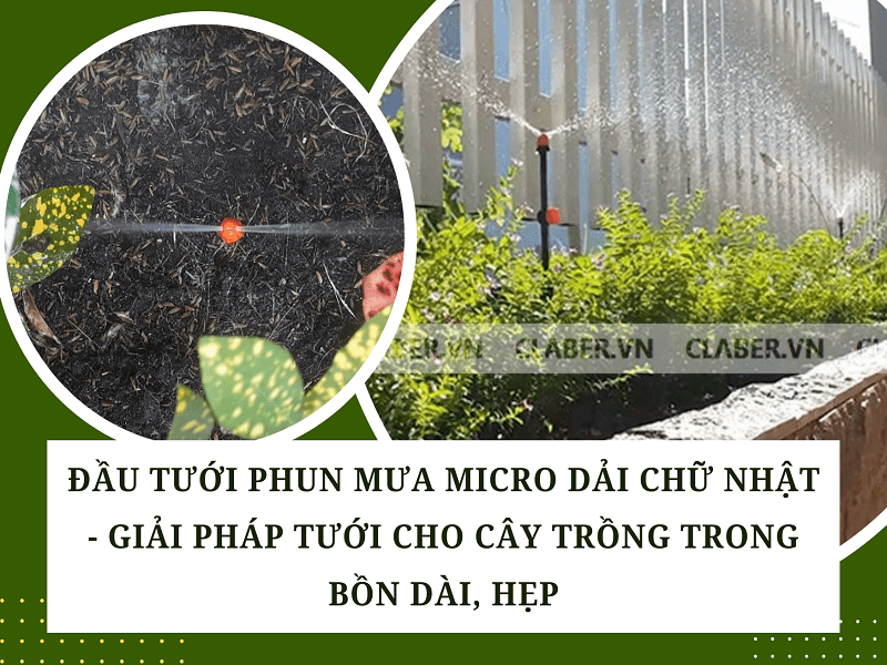 ĐẦU TƯỚI PHUN MƯA DẢI CHỮ NHẬT – GIẢI PHÁP TƯỚI CHO CÂY TRỒNG TRONG BỒN DÀI, HẸP