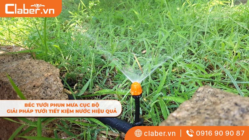 Béc tưới phun mưa cục bộ – Giải pháp tưới tiết kiệm nước hiệu quả