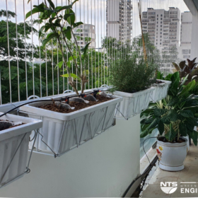 LỰA CHỌN LOẠI BÉC TƯỚI CHO CÂY TRỒNG Ở BAN CÔNG CHUNG CƯ
