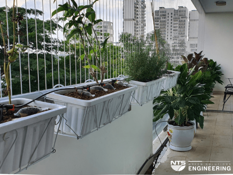 LỰA CHỌN LOẠI BÉC TƯỚI CHO CÂY TRỒNG Ở BAN CÔNG CHUNG CƯ