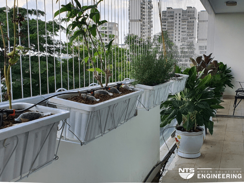 LỰA CHỌN LOẠI BÉC TƯỚI CHO CÂY TRỒNG Ở BAN CÔNG CHUNG CƯ