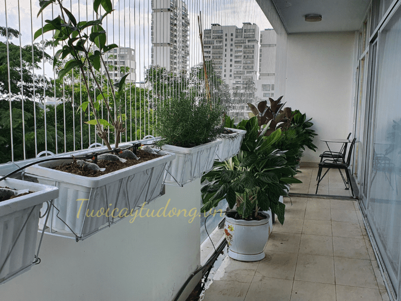 LẮP ĐẶT HỆ THỐNG TƯỚI BAN CÔNG CHO NHÀ KHÁCH Ở QUẬN 7 HCM
