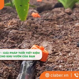 Béc tưới cây bù áp – Giải pháp tưới tiết kiệm nước hiệu quả cho khu vườn của bạn
