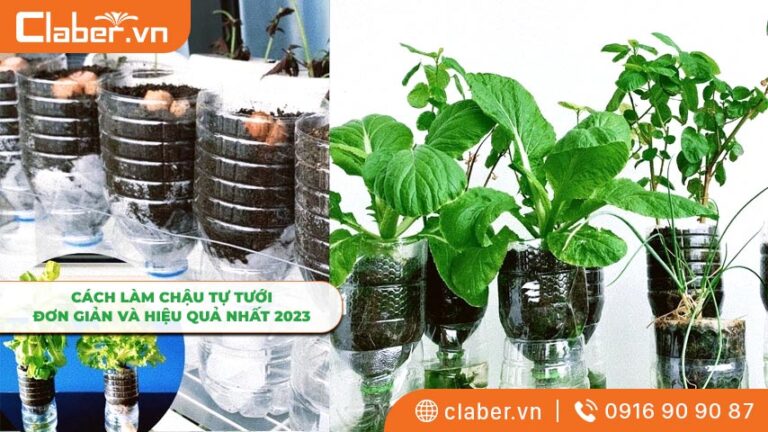Cách làm chậu tự tưới đơn giản và hiệu quả 2023