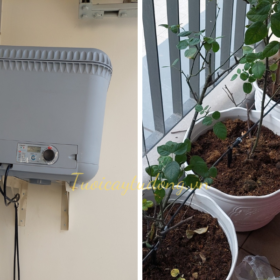 LẮP ĐẶT BỘ BÌNH CHỨA NƯỚC HẸN GIỜ TƯỚI NHỎ GIỌT CHO BAN CÔNG NHÀ KHÁCH KHÔNG CÓ VÒI NƯỚC
